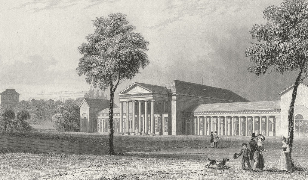 GERMANY. Conservatory, Wisbaden. Tombleson 1830 old antique print picture